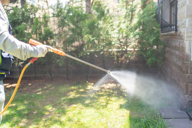 Best Pest Exclusion Services  in Carrollton, OH